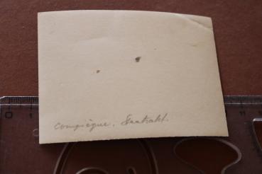 old photo - Adolf Hitler with his entourage in his Mercedes W31 in Compiègne France